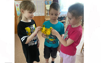 "День одуванчика" "День одуванчика".