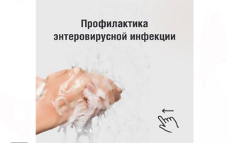 Профилактика энтеровирусной инфекции Профилактика энтеровирусной инфекции.