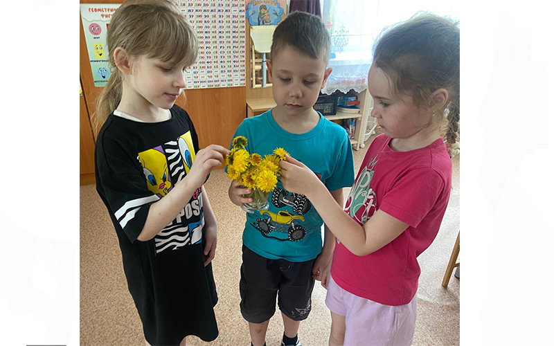 "День одуванчика" "День одуванчика".